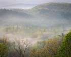 USA-Tennessee-Smokey Mountains National Park. Sunrise mist on mountain forest. Art Print